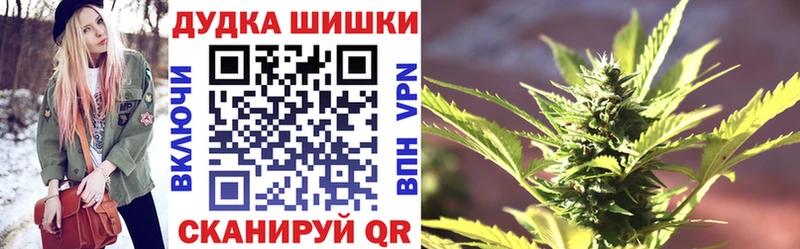 Шишки марихуана план  ссылка на мегу   Шахунья  где найти  